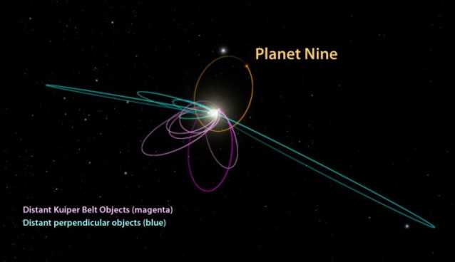 Neptune Sized Planet X Planet 9